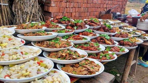农村宴席爆料视频大全,视频大全背后的美食与文化盛宴  第1张